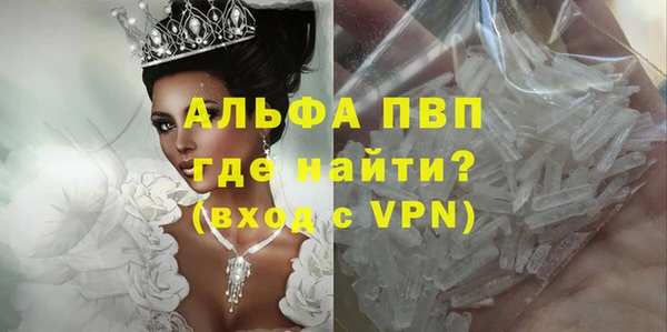гашик Россошь