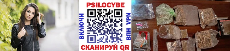 Псилоцибиновые грибы Cubensis  Купить где  Дно 